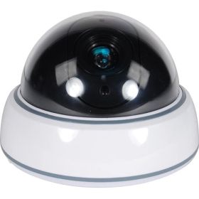 Dummy dome camera with led and white body