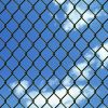 Chain Link Fence with Posts Steel 59.1" x 590.6" Green